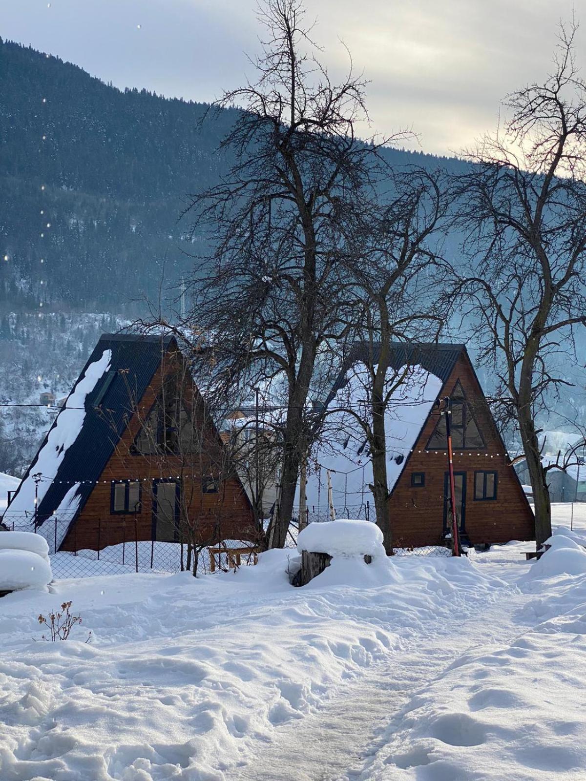 A-Frame Wonder Villa Mestia Exterior photo