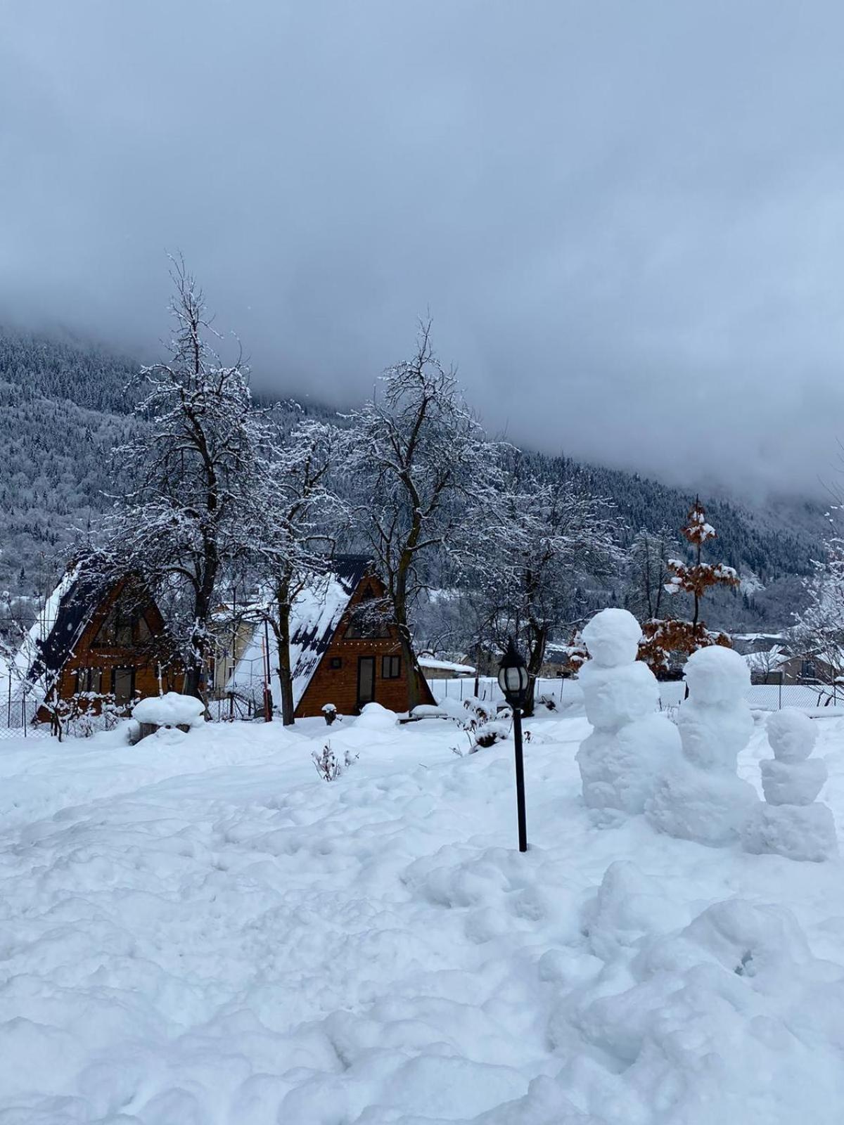 A-Frame Wonder Villa Mestia Exterior photo